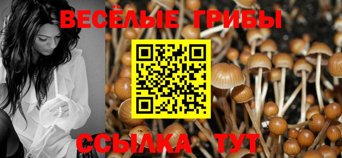 Галлюциногенные грибы MAGIC MUSHROOMS Сертолово
