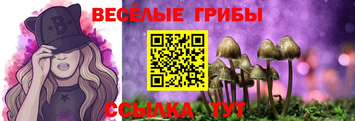 Сертолово  Псилоцибиновые грибы Psilocybine cubensis  Вход с VPN  Псилоцибиновые грибы ЛСД 